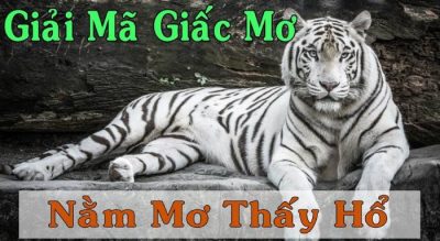 Ngụ ý của giấc mộng thấy hổ là gì?